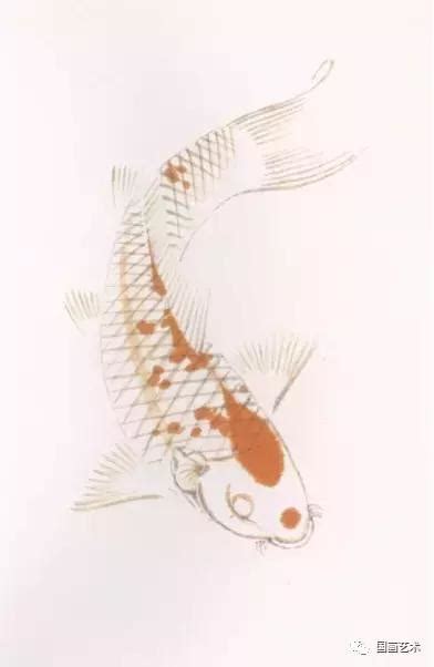 錦鯉魚缸 龍角 畫法